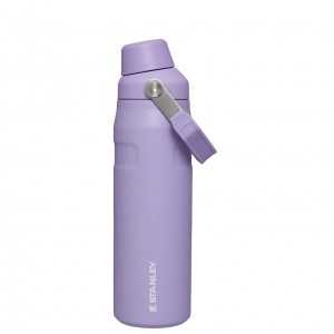 Stanley IceFlow Insulated Bottle with Fast Flow Lid | 24 OZ Lavande | 794568UBS