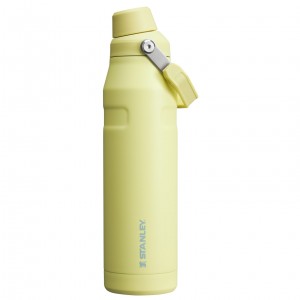 Stanley IceFlow Insulated Bottle with Fast Flow Lid | 36 OZ Pomelo | 687391JYI