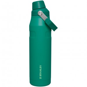 Stanley IceFlow Insulated Bottle with Fast Flow Lid | 36 OZ Alpine | 927583FYE