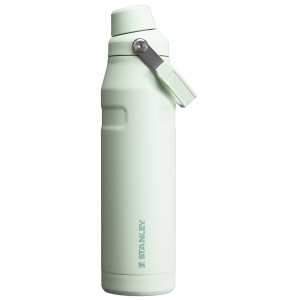 Stanley IceFlow Insulated Bottle with Fast Flow Lid | 36 OZ Mist | 401638NCX