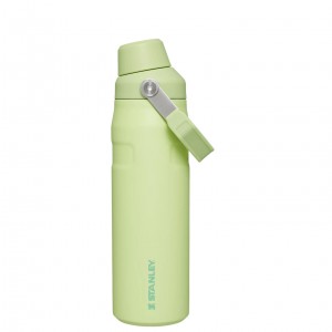 Stanley IceFlow Insulated Bottle with Fast Flow Lid | 24 OZ Citron | 593476VFX