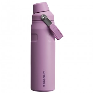 Stanley IceFlow Insulated Bottle with Fast Flow Lid | 24 OZ Lilac | 830729CBT