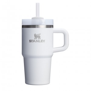 Stanley Quencher H2.0 Travel Tumbler With Handle & Straw | 20 OZ Frost | 826390JTA