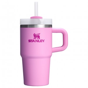 Stanley Quencher H2.0 Travel Tumbler With Handle & Straw | 20 OZ Peony | 587921FEP