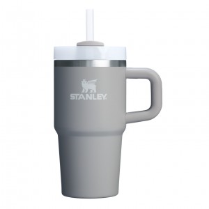 Stanley Quencher H2.0 Travel Tumbler With Handle & Straw | 20 OZ Ash | 076245EXY