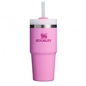 Stanley Quencher H2.0 Travel Tumbler | 14 OZ Peony | 284901YCD