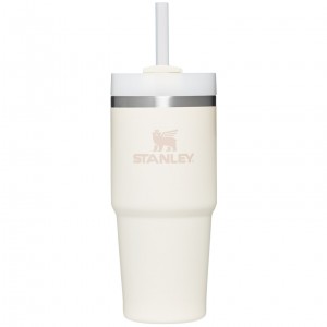 Stanley Quencher H2.0 Travel Tumbler | 14 OZ Blanche | 530719ZWJ