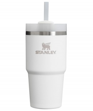 Stanley Quencher H2.0 Travel Tumbler | 14 OZ Frost | 754316PAO