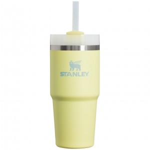 Stanley Quencher H2.0 Travel Tumbler | 14 OZ Pomelo | 945326GLQ