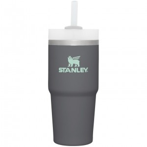 Stanley Quencher H2.0 Travel Tumbler | 14 OZ Charcoal | 203491ORL