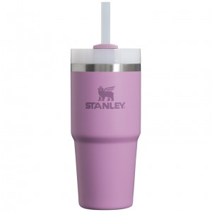 Stanley Quencher H2.0 Travel Tumbler | 14 OZ Lilac | 862950WQR