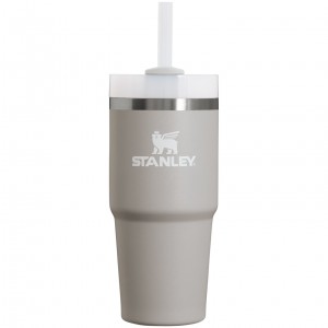 Stanley Quencher H2.0 Travel Tumbler | 14 OZ Ash | 320654NGR