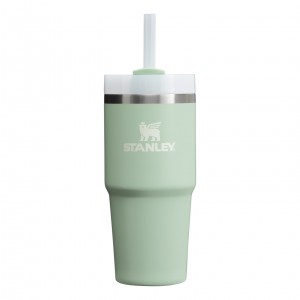 Stanley Quencher H2.0 Travel Tumbler | 14 OZ Blanche | 132475ACQ