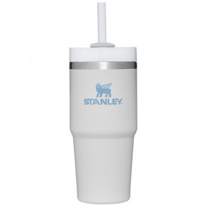 Stanley Quencher H2.0 Travel Tumbler | 14 OZ Fog | 679132JZX