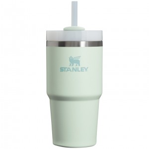 Stanley Quencher H2.0 Travel Tumbler | 20 OZ Mist | 816534JHP