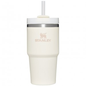 Stanley Quencher H2.0 Travel Tumbler | 20 OZ Blanche | 890163LAT