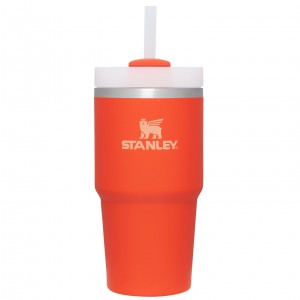 Stanley Quencher H2.0 Travel Tumbler | 20 OZ Tigerlily | 326501NAD
