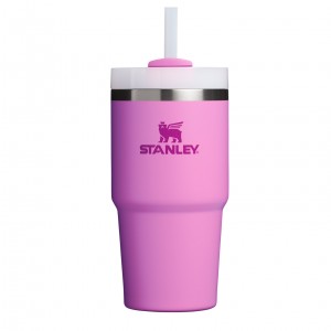 Stanley Quencher H2.0 Travel Tumbler | 20 OZ Peony | 501723RXG