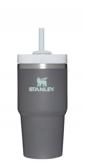 Stanley Quencher H2.0 Travel Tumbler | 20 OZ Charcoal | 843675WRP