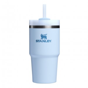 Stanley Quencher H2.0 Travel Tumbler | 20 OZ Glacier | 038716CRV