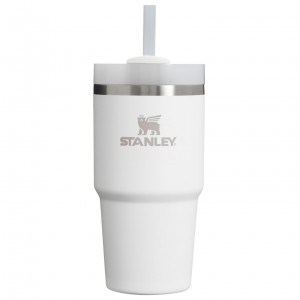 Stanley Quencher H2.0 Travel Tumbler | 20 OZ Frost | 832690LJD