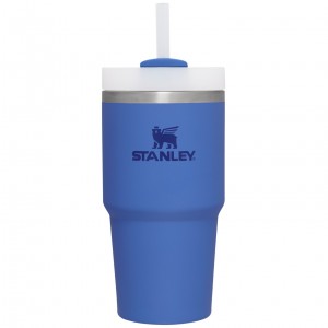 Stanley Quencher H2.0 Travel Tumbler | 20 OZ Iris | 894675FDX