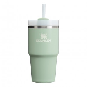 Stanley Quencher H2.0 Travel Tumbler | 20 OZ Blanche | 162903UTH