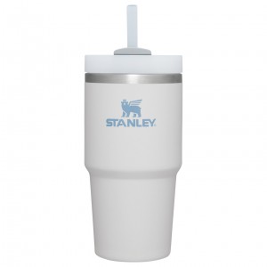 Stanley Quencher H2.0 Travel Tumbler | 20 OZ Fog | 926830FQL