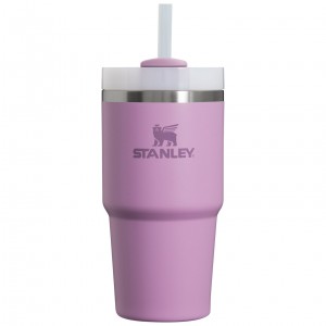 Stanley Quencher H2.0 Travel Tumbler | 20 OZ Lilac | 523419CXF