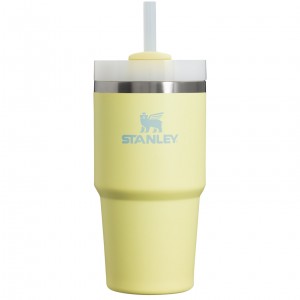Stanley Quencher H2.0 Travel Tumbler | 20 OZ Pomelo | 137065FJB