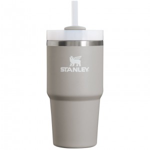 Stanley Quencher H2.0 Travel Tumbler | 20 OZ Ash | 371592IWY