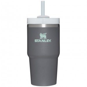 Stanley Quencher H2.0 Travel Tumbler | 20 OZ Charcoal | 560314YDL