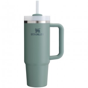 Stanley Quencher H2.0 Travel Tumbler | 30 OZ Shale | 803695QKF