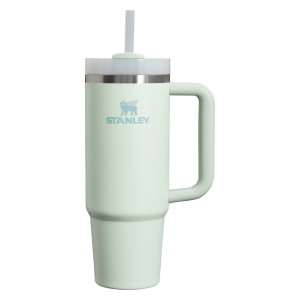Stanley Quencher H2.0 Travel Tumbler | 30 OZ Mist | 092564KOE