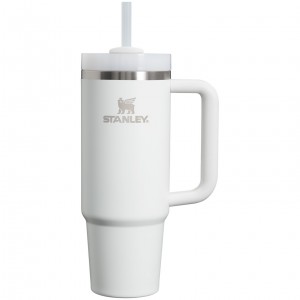 Stanley Quencher H2.0 Travel Tumbler | 30 OZ Frost | 472168LCI