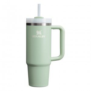 Stanley Quencher H2.0 Travel Tumbler | 30 OZ Blanche | 851627ANH
