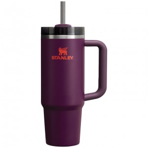 Stanley Quencher H2.0 Travel Tumbler | 30 OZ Plum | 582716RQM
