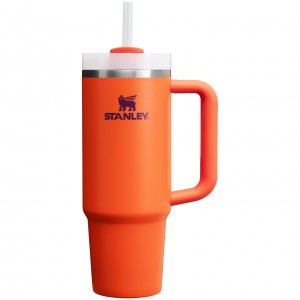 Stanley Quencher H2.0 Travel Tumbler | 30 OZ Tigerlily Plum | 573860WZO