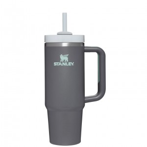 Stanley Quencher H2.0 Travel Tumbler | 30 OZ Charcoal | 829014HLP