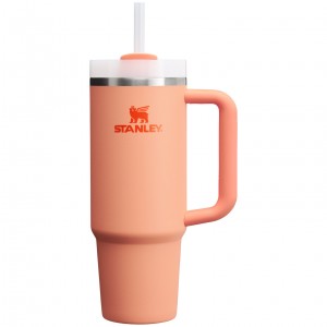 Stanley Quencher H2.0 Travel Tumbler | 30 OZ Nectarine | 681473IJZ