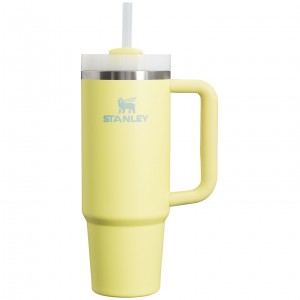 Stanley Quencher H2.0 Travel Tumbler | 30 OZ Pomelo | 013658CXY