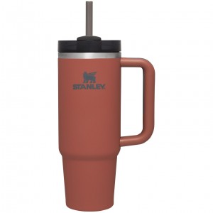 Stanley Quencher H2.0 Travel Tumbler | Soft Matte | 30 OZ Rouge | 316452XQC