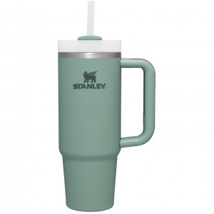 Stanley Quencher H2.0 Travel Tumbler | Soft Matte | 30 OZ Shale | 057841PUR