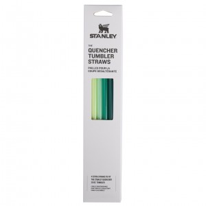 Stanley Replacement Straw 4 Pack | 30 oz Quencher Tumbler Vert | 043257KNM