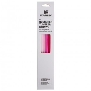 Stanley Replacement Straw 4 Pack | 30 oz Quencher Tumbler Rose | 245360WHZ