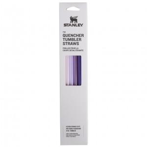 Stanley Replacement Straw 4 Pack | 30 oz Quencher Tumbler Violette | 418072CBO