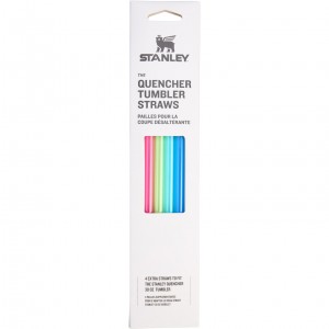 Stanley Replacement Straw 4 Pack | 30 oz Quencher Tumbler Summer | 694325XFD