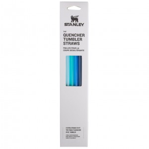 Stanley Replacement Straw 4 Pack | 40 OZ Quencher Tumbler Bleu | 853047YAT