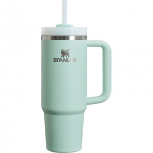 Stanley The Clean Slate Quencher H2.0 FlowState Tumbler | 30 OZ Menthe | 379504SVC