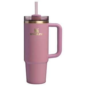 Stanley The Fall Refresh Quencher H2.O FlowState™ Tumbler I 30 OZ Rose | 790284UIK